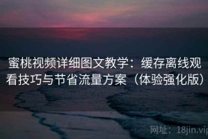 蜜桃视频详细图文教学：缓存离线观看技巧与节省流量方案（体验强化版）