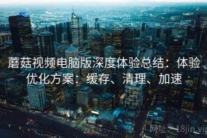 蘑菇视频电脑版深度体验总结：体验优化方案：缓存、清理、加速