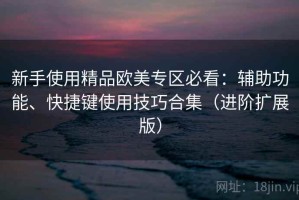 新手使用精品欧美专区必看：辅助功能、快捷键使用技巧合集（进阶扩展版）