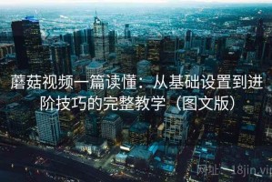 蘑菇视频一篇读懂：从基础设置到进阶技巧的完整教学（图文版）