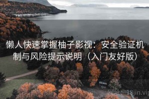 懒人快速掌握柚子影视：安全验证机制与风险提示说明（入门友好版）