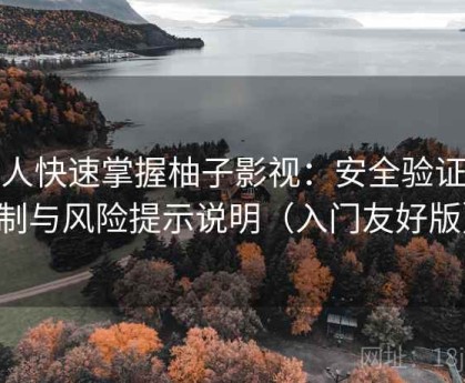 懒人快速掌握柚子影视：安全验证机制与风险提示说明（入门友好版）