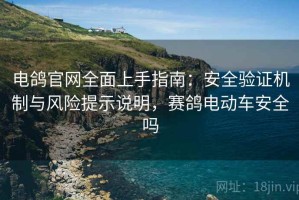 电鸽官网全面上手指南：安全验证机制与风险提示说明，赛鸽电动车安全吗
