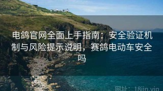 电鸽官网全面上手指南：安全验证机制与风险提示说明，赛鸽电动车安全吗