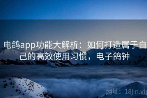 电鸽app功能大解析：如何打造属于自己的高效使用习惯，电子鸽钟
