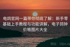 电鸽官网一篇带你彻底了解：新手零基础上手教程与功能讲解，电子鸽钟价格图片大全
