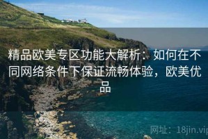 精品欧美专区功能大解析：如何在不同网络条件下保证流畅体验，欧美优品