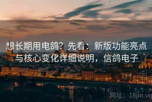 想长期用电鸽？先看：新版功能亮点与核心变化详细说明，信鸽电子