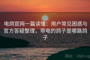 电鸽官网一篇读懂：用户常见困惑与官方答疑整理，带电的鸽子是哪路鸽子