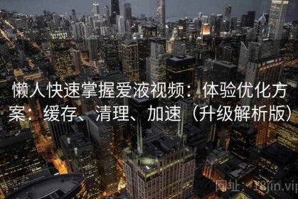 懒人快速掌握爱液视频：体验优化方案：缓存、清理、加速（升级解析版）