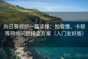 向日葵视频一篇读懂：加载慢、卡顿等网络问题排查方案（入门友好版）
