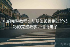 电鸽完整教程：从基础设置到进阶技巧的完整教学，信鸽电子