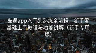 岛遇app入门到熟练全流程：新手零基础上手教程与功能讲解（新手专用版）