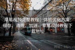 草莓视频完整教程：体验优化方案：缓存、清理、加速，草莓视频教程下载地址