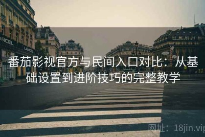 番茄影视官方与民间入口对比：从基础设置到进阶技巧的完整教学