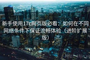 新手使用17c网页版必看：如何在不同网络条件下保证流畅体验（进阶扩展版）