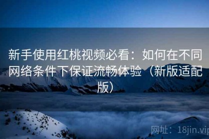 新手使用红桃视频必看：如何在不同网络条件下保证流畅体验（新版适配版）