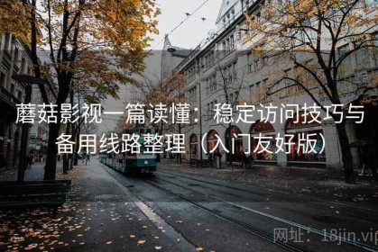 蘑菇影视一篇读懂：稳定访问技巧与备用线路整理（入门友好版）