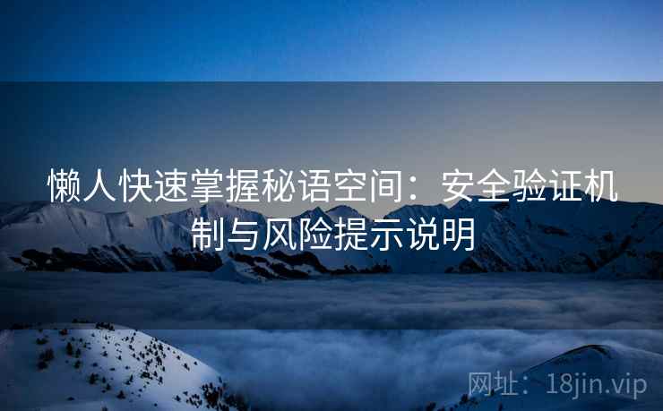 懒人快速掌握秘语空间：安全验证机制与风险提示说明