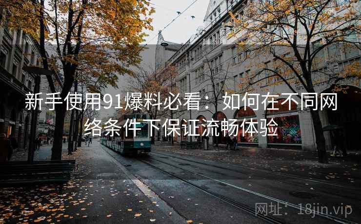 新手使用91爆料必看:如何在不同网络条件下保证流畅体验 新手使用91爆料必看:如何在不同网络条件下保证流畅体验