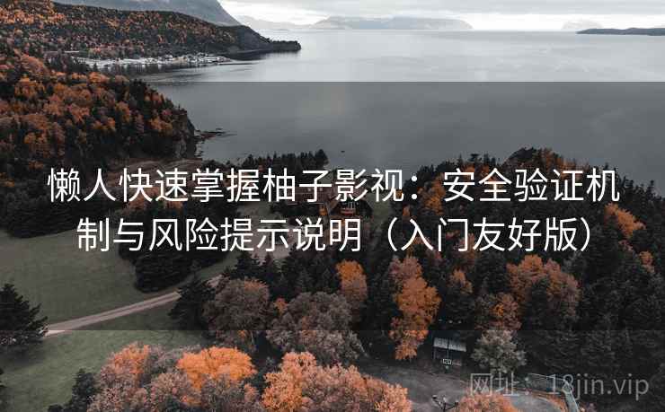 懒人快速掌握柚子影视：安全验证机制与风险提示说明（入门友好版）