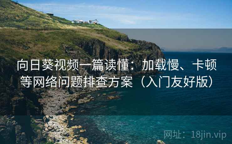 向日葵视频一篇读懂：加载慢、卡顿等网络问题排查方案（入门友好版）