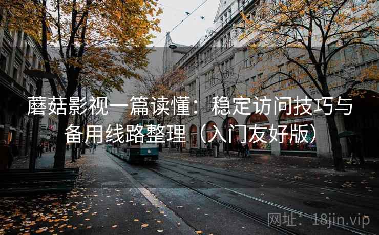 蘑菇影视一篇读懂：稳定访问技巧与备用线路整理（入门友好版）