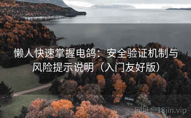 懒人快速掌握电鸽：安全验证机制与风险提示说明（入门友好版）
