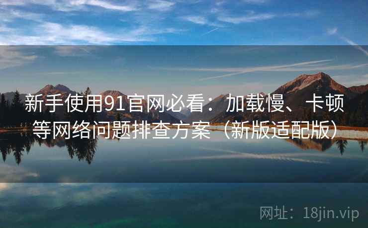 新手使用91官网必看：加载慢、卡顿等网络问题排查方案（新版适配版）