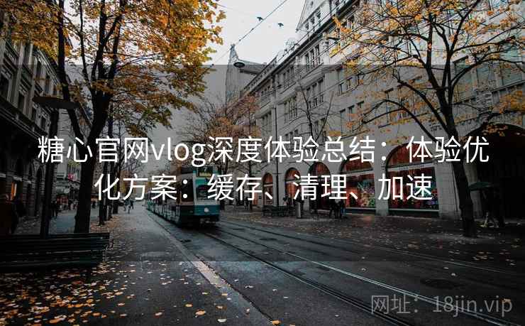 糖心官网vlog深度体验总结：体验优化方案：缓存、清理、加速