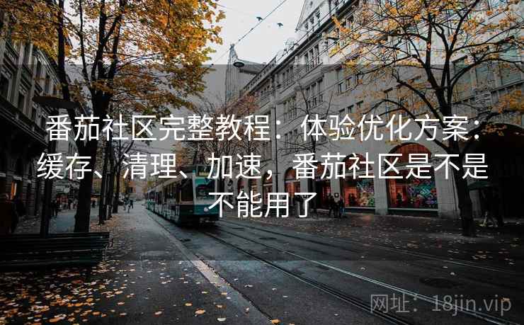 番茄社区完整教程：体验优化方案：缓存、清理、加速，番茄社区是不是不能用了