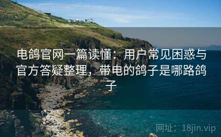 电鸽官网一篇读懂：用户常见困惑与官方答疑整理，带电的鸽子是哪路鸽子