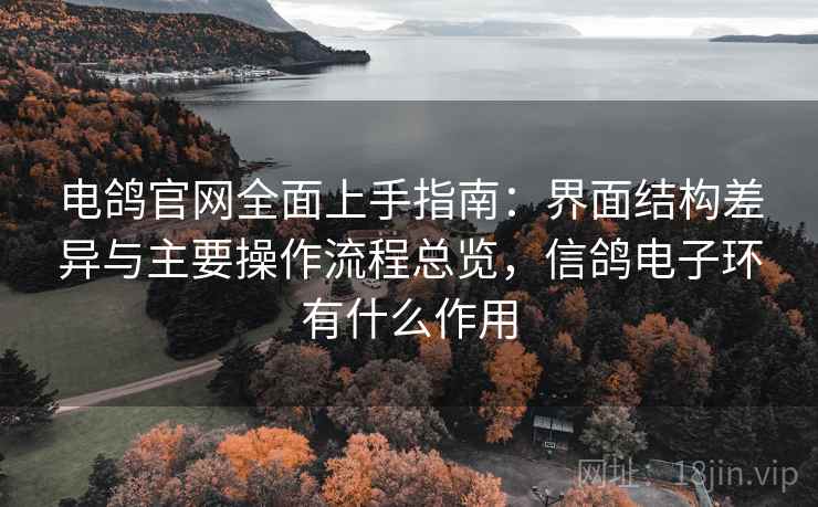 电鸽官网全面上手指南：界面结构差异与主要操作流程总览，信鸽电子环有什么作用
