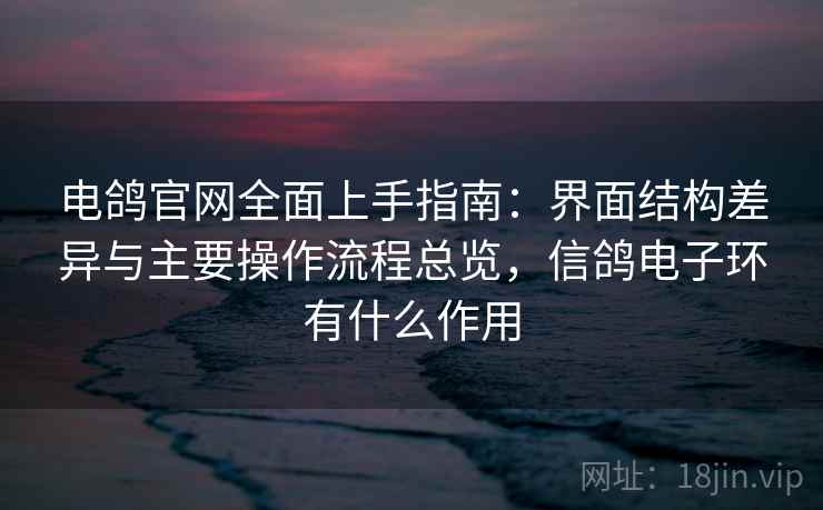 电鸽官网全面上手指南：界面结构差异与主要操作流程总览，信鸽电子环有什么作用