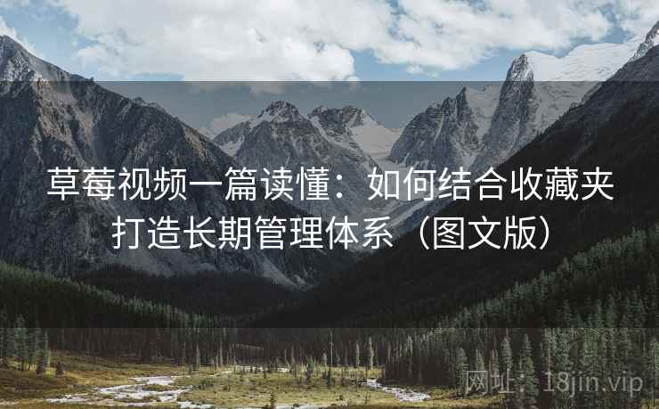 草莓视频一篇读懂：如何结合收藏夹打造长期管理体系（图文版）