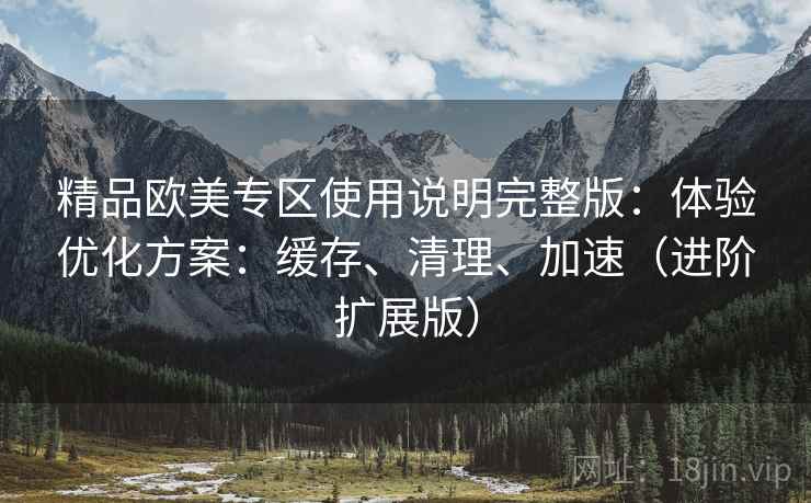 精品欧美专区使用说明完整版：体验优化方案：缓存、清理、加速（进阶扩展版）