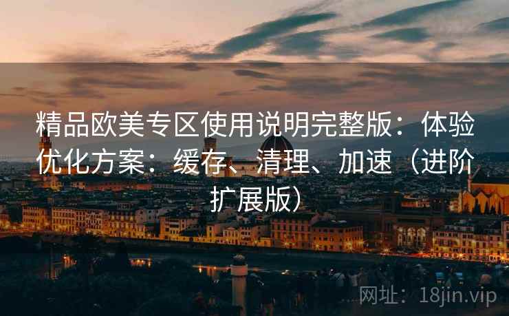 精品欧美专区使用说明完整版：体验优化方案：缓存、清理、加速（进阶扩展版）