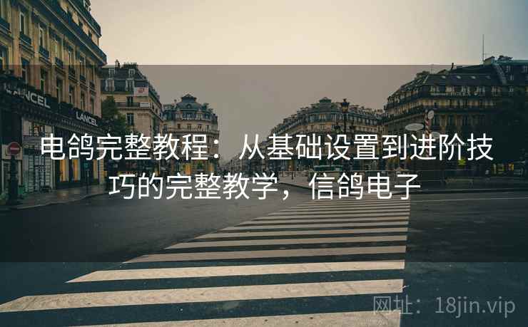 电鸽完整教程:从基础设置到进阶技巧的完整教学,信鸽电子 电鸽完整教程:从基础设置到进阶技巧的完整教学,信鸽电子