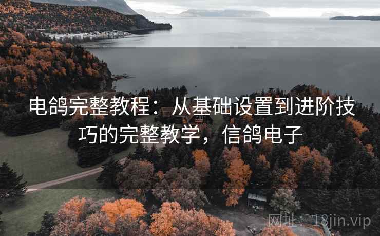 电鸽完整教程:从基础设置到进阶技巧的完整教学,信鸽电子 电鸽完整教程:从基础设置到进阶技巧的完整教学,信鸽电子